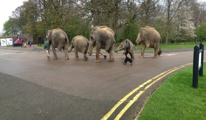 Weird Panoramic Photos (23 pics)