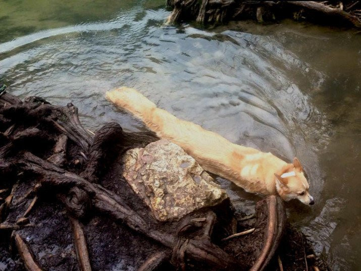 Weird Panoramic Photos (23 pics)