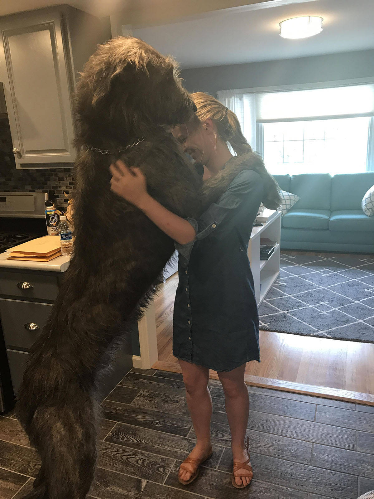 Daily Pictures. Part 1 (83 pics)