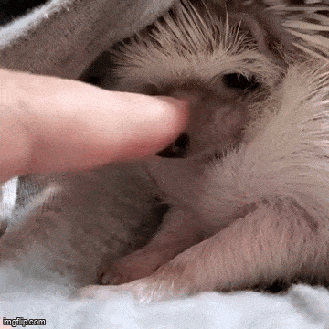 Acid GIFs, July 15 (25 gifs)