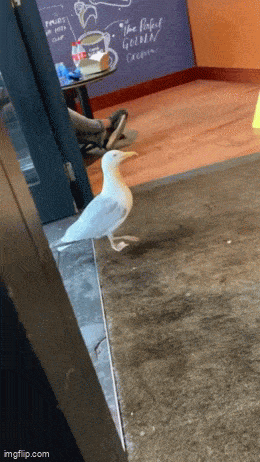 Acid GIFs, July 15 (25 gifs)