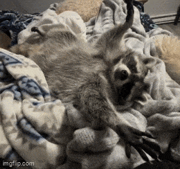 Acid GIFs, July 15 (25 gifs)