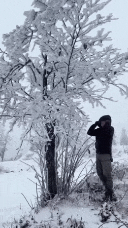 Acid GIFs, July 15 (25 gifs)