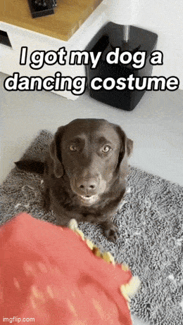 Acid GIFs, July 15 (25 gifs)