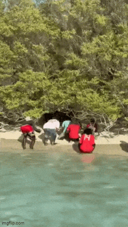 Acid GIFs, July 15 (25 gifs)