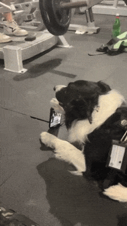 Acid GIFs, July 15 (25 gifs)