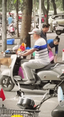 Acid GIFs, July 15 (25 gifs)