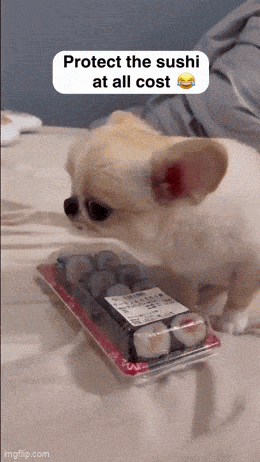 Acid GIFs, July 15 (25 gifs)