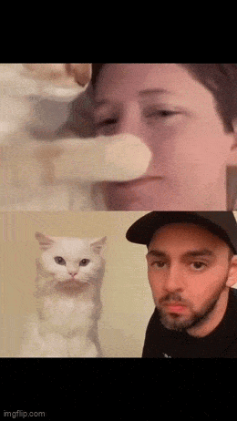 Acid GIFs, July 15 (25 gifs)