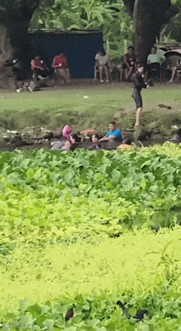 Acid GIFs, July 15 (25 gifs)