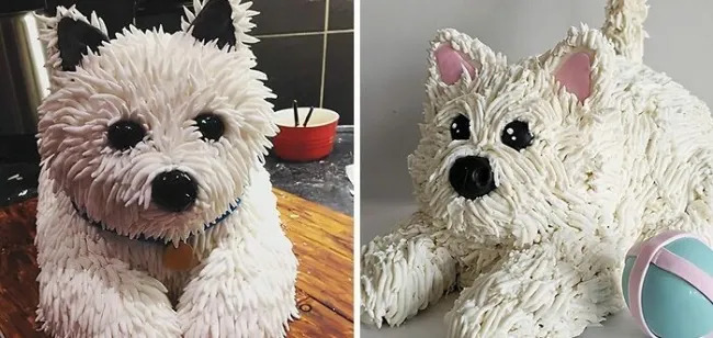 When Expectations Match Reality (23 pics) When Expectations Match Reality (23 pics)