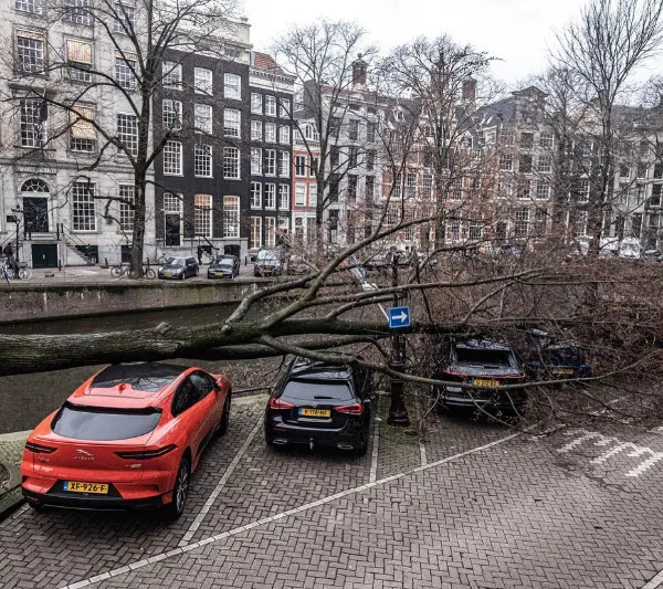 Bad Days Happen (21 pics)