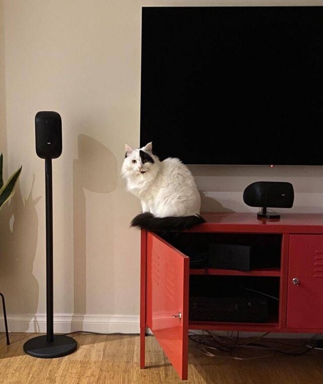 Photos For Perfectionists (25 pics)