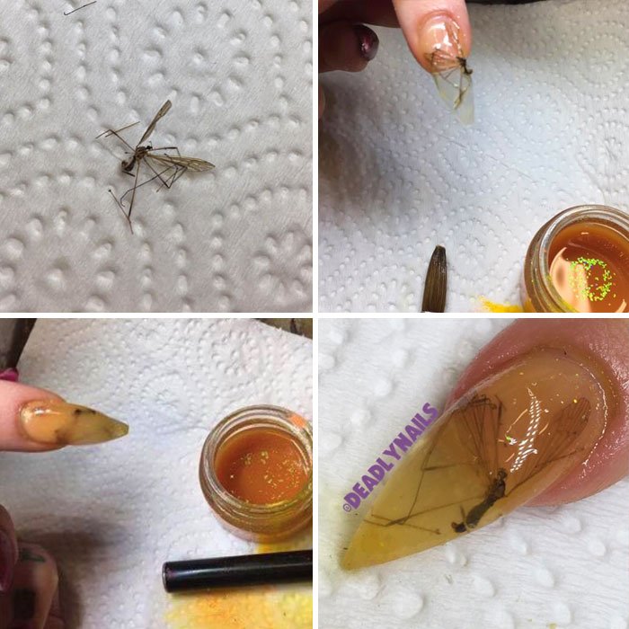 Weird DIY Crafts (23 pics)