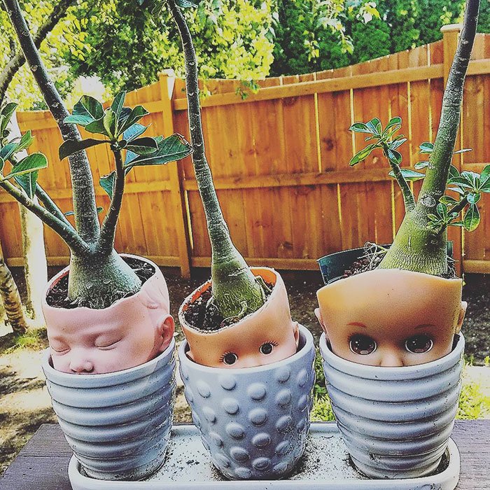 Weird DIY Crafts (23 pics)