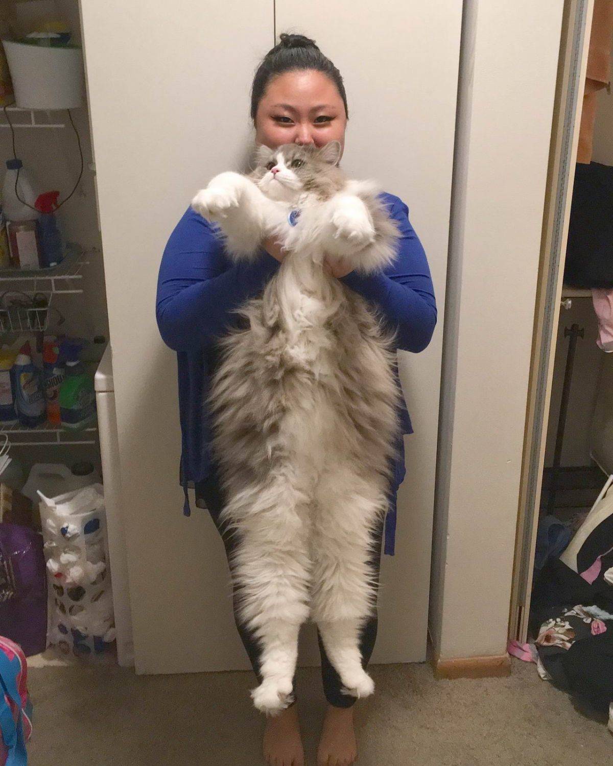 Daily Pictures. Part 1 (82 pics)