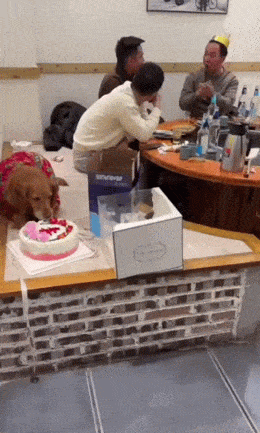 Acid GIFs, July 16 (25 gifs) Acid GIFs, July 16 (25 gifs)