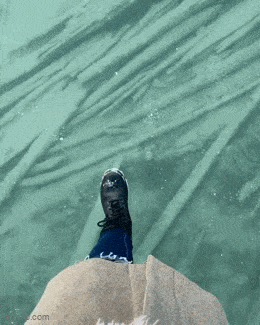 Acid GIFs, July 16 (25 gifs) Acid GIFs, July 16 (25 gifs)