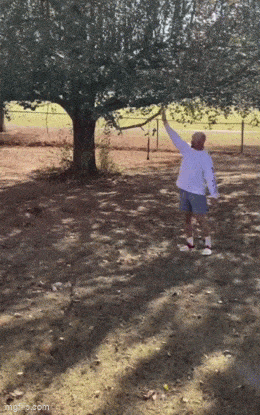Acid GIFs, July 16 (25 gifs) Acid GIFs, July 16 (25 gifs)