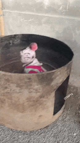 Acid GIFs, July 16 (25 gifs) Acid GIFs, July 16 (25 gifs)