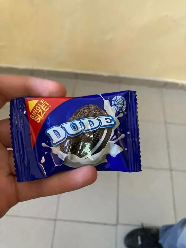 Fake Brands (25 pics)