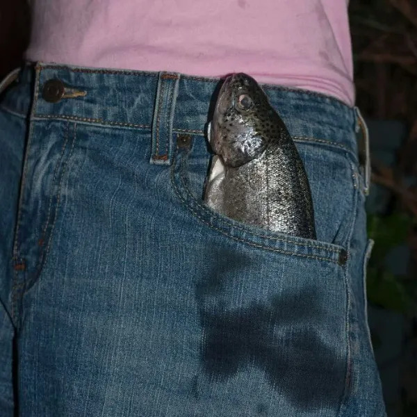What Is Going On Here? (27 pics)