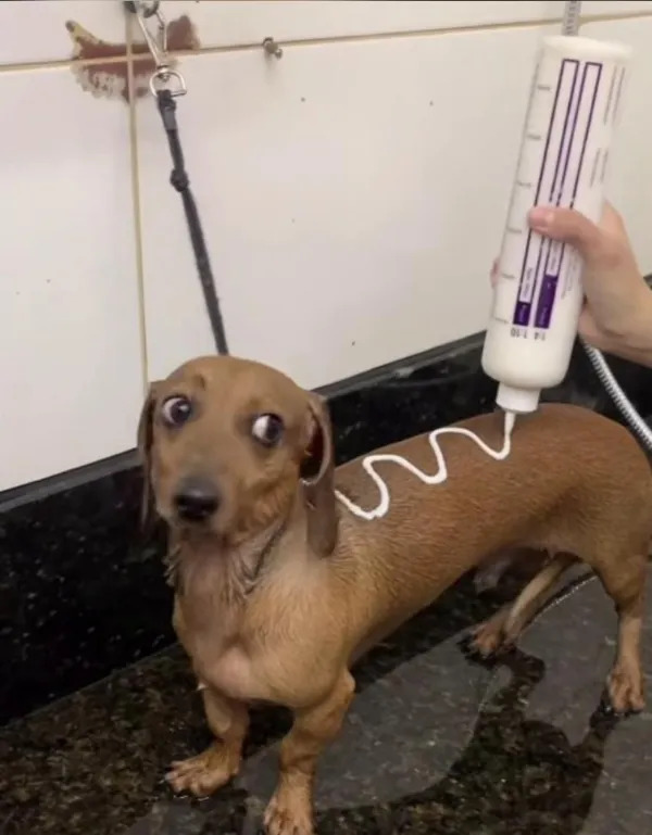 What Is Going On Here? (27 pics)