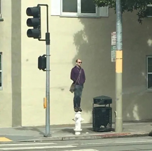 What Is Going On Here? (27 pics)