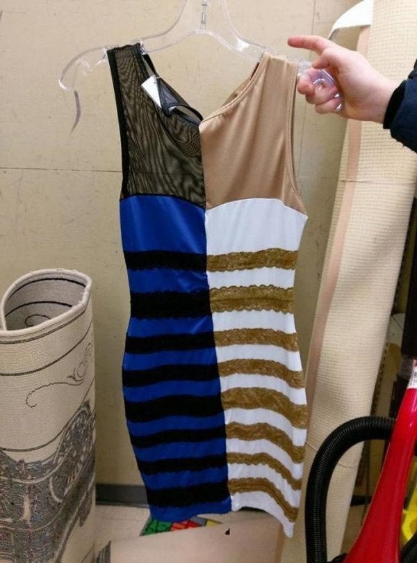 Weird Finds In Thrift Shops (16 pics)