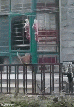 Acid GIFs, July 17 (25 gifs)