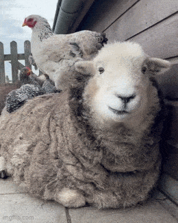 Acid GIFs, July 17 (25 gifs)