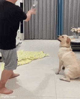 Acid GIFs, July 17 (25 gifs)