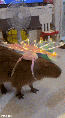 Acid GIFs, July 17 (25 gifs)