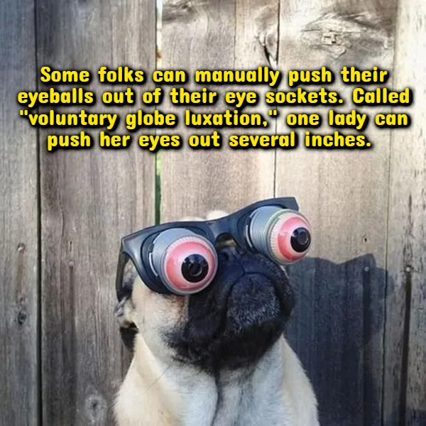Interesting Facts (18 pics)
