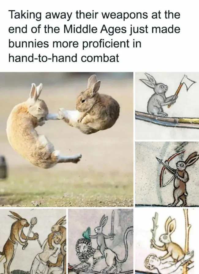 Medieval Memes (19 pics)