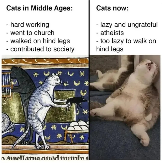 Medieval Memes (19 pics)