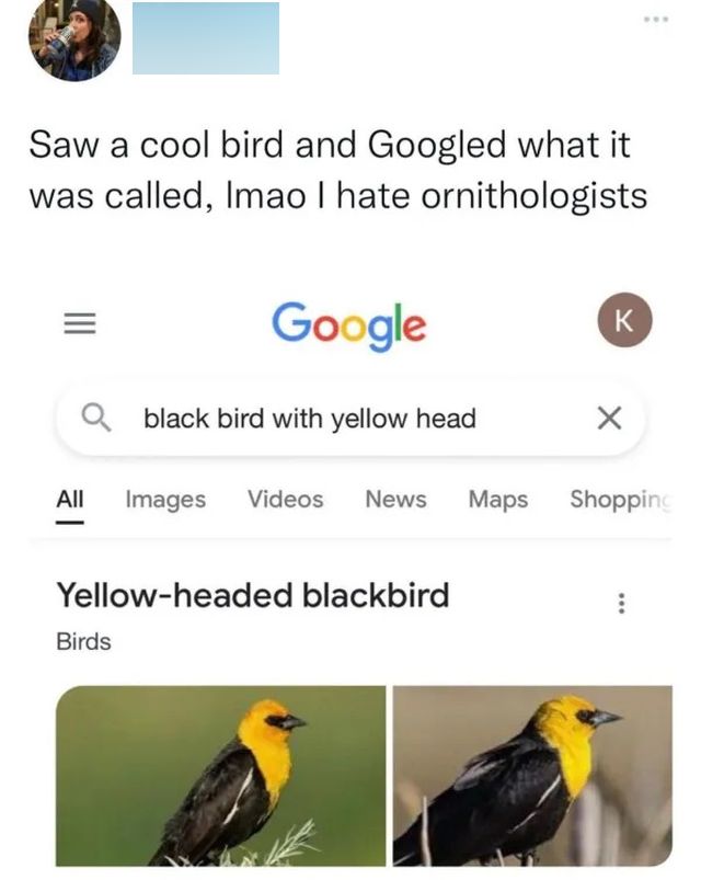 Random Memes (22 pics)