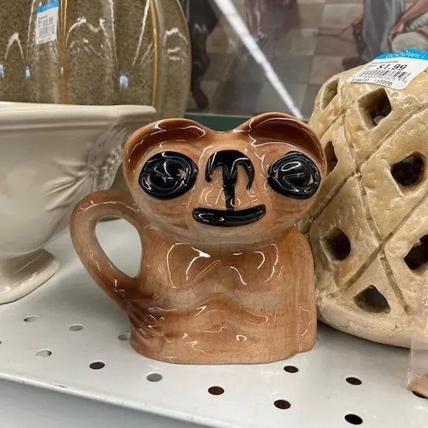 Weird Finds In Thrift Shops (25 pics)