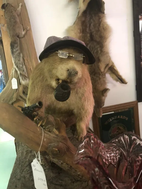 Weird Finds In Thrift Shops (25 pics)