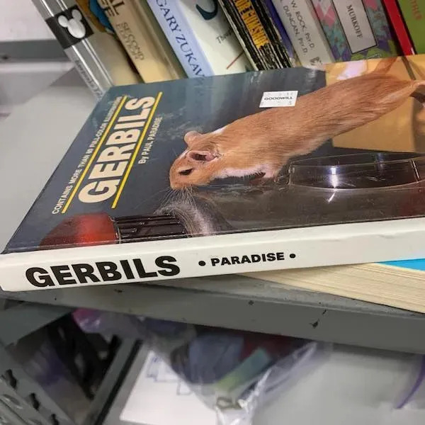 Weird Finds In Thrift Shops (25 pics)