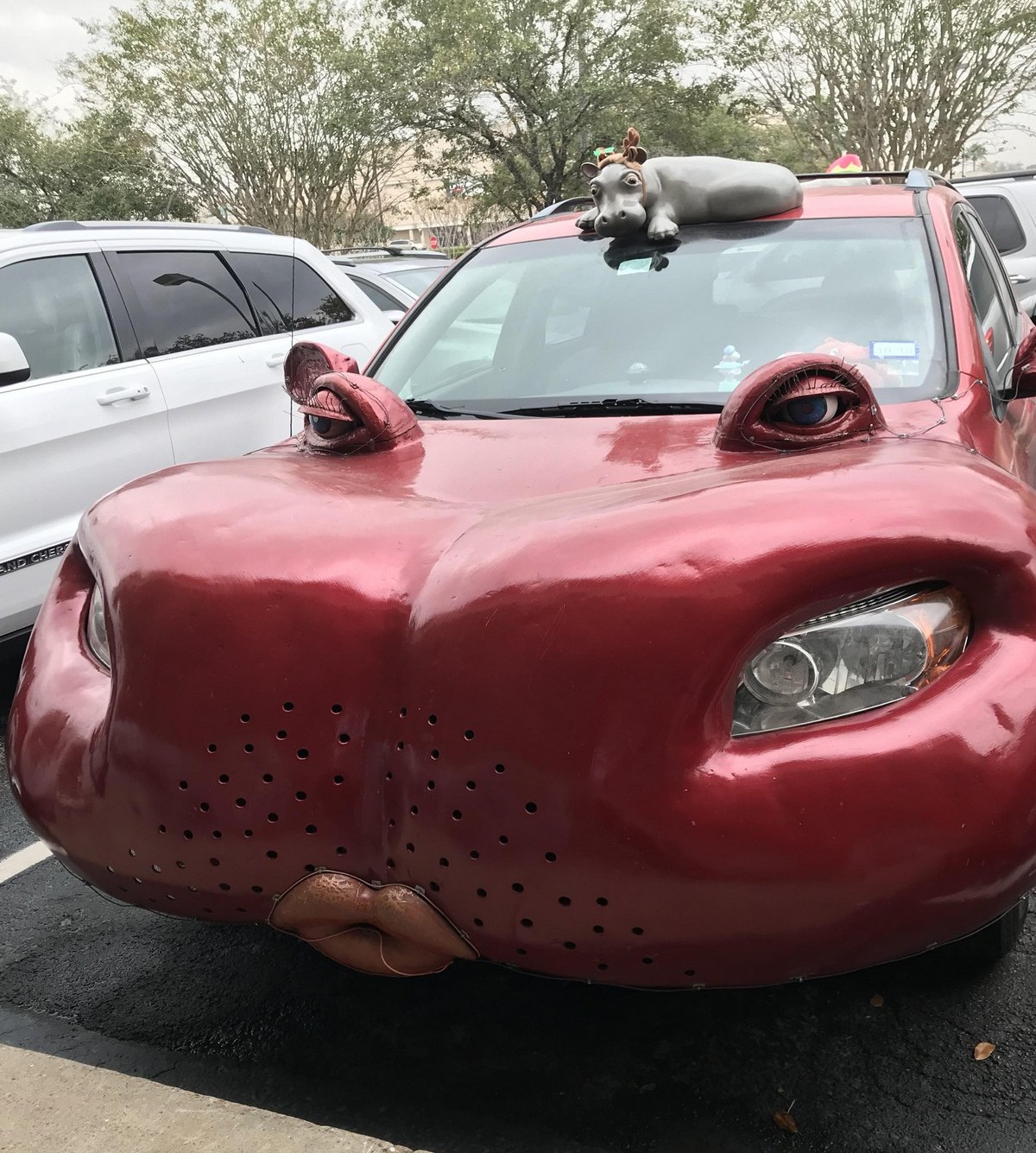 Crazy Cars (25 pics)
