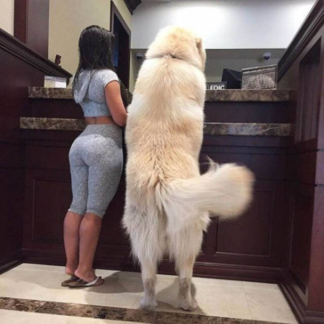 Girls In Yoga Pants (21 pics)