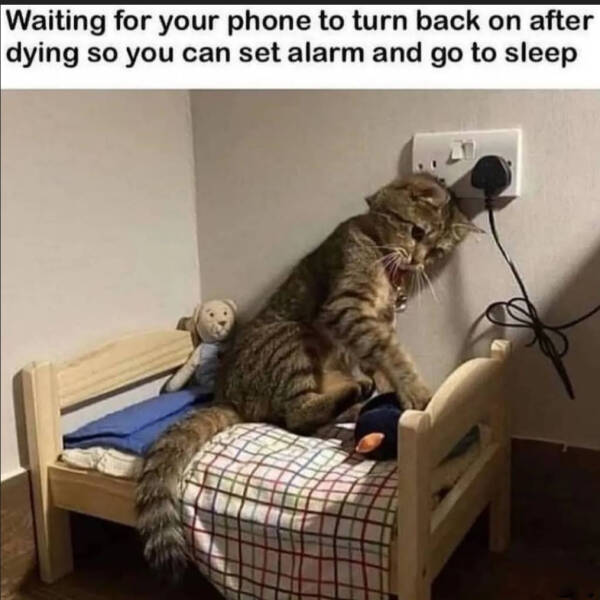 Daily Pictures. Part 2 (76 pics)
