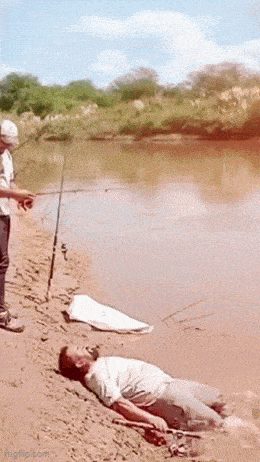Acid GIFs, July 20 (25 gifs)