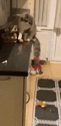 Acid GIFs, July 20 (25 gifs)