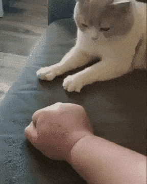 Acid GIFs, July 20 (25 gifs)