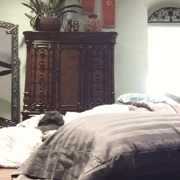 Acid GIFs, July 20 (25 gifs)
