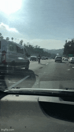 Acid GIFs, July 20 (25 gifs)