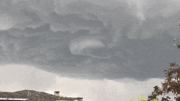Acid GIFs, July 20 (25 gifs)