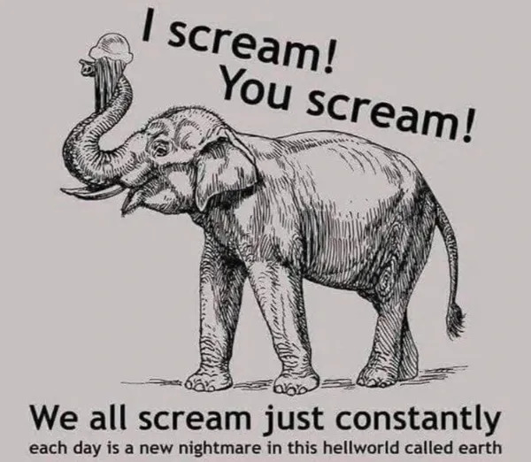 Funny Memes (23 pics)